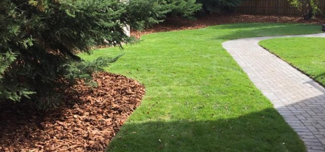stone walkway